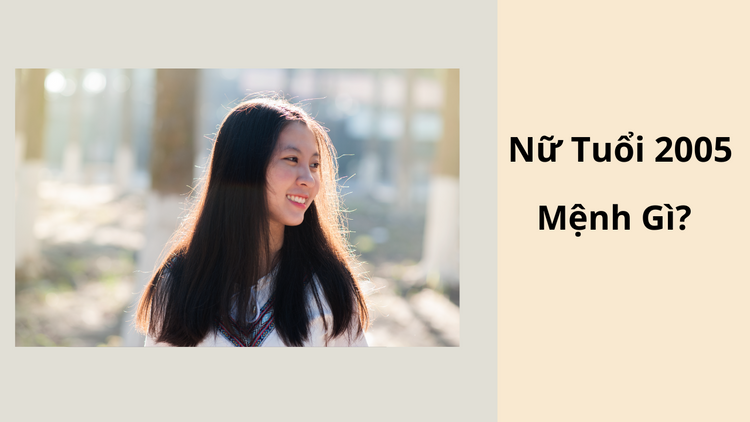 2005 Mệnh Gì, Hợp Màu Gì? Cách Chọn Hướng Nhà Hút Vận May